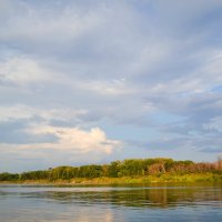 Дон :: Анастасия Науменко