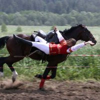 Я люблю свою лошадку.. :: Валерий Скобкарёв