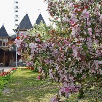 Весна в Коломенском :: Елена Кирьянова