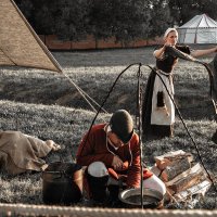 XVI век: подготовка к  «Тридцатилетней войне» :: Ирина Данилова