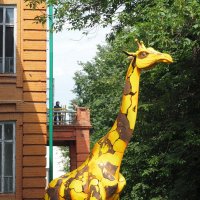 Жираф большой... :: Ильсияр Шакирова