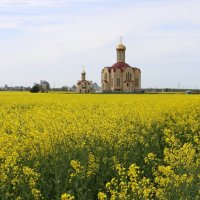 Храм в честь великомучеников и исповедников земли Белорусской :: Ольга 