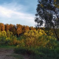 И вновь уходит в вечность день... :: Лесо-Вед (Баранов)