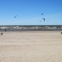 Ветреный день на Финском заливе :: Маера Урусова