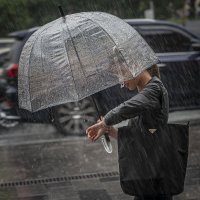 Дождь :: Николай Галкин 