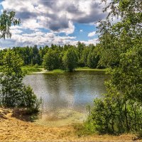Озеро в лесу 4 :: Андрей Дворников