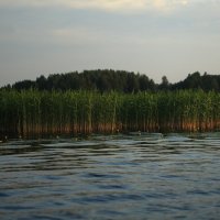 На озере :: Павел 