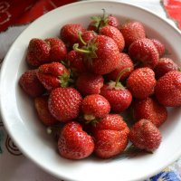 Мои ягодки. :: zoja 
