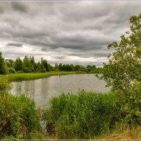 Перед дождём 2 :: Андрей Дворников