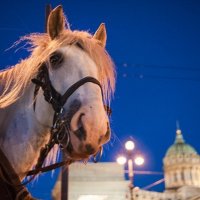 Ну ты это, заходи если чо? :: Майя Жинкина