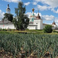 Перья зеленого лука, древние стены Толгского монастыря :: Николай Белавин