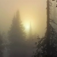 Восход в густом тумане :: Сергей Чиняев 
