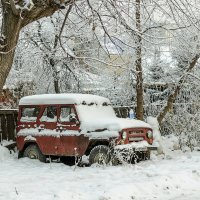 На зимовке. :: Сергей Шатохин 