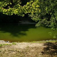 Пруд Красный, хотя вода зеленая :: Андрей Лукьянов