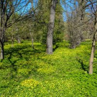 в весеннем парке :: Константин Шабалин