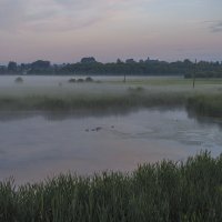 Ранним утром :: Сергей Цветков