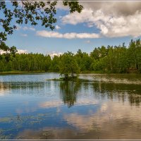 Озеро в лесу 6 :: Андрей Дворников