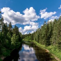 река Плюсса, Псковская область :: Виктор Желенговский