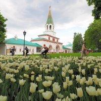 Весна в Коломенском :: Евгений Седов