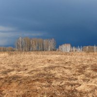 Весеннее поле, весеннее небо :: Сергей Никифоров