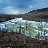 Огромная наледь на реке Дулисмар :: Сергей Курников