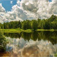 Лесное озеро, июль 4 :: Андрей Дворников