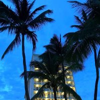 Лето, пальмы, Багамы :: Елена 