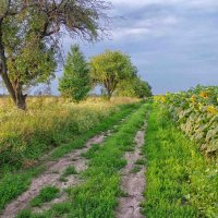 дорога в лето :: юрий иванов