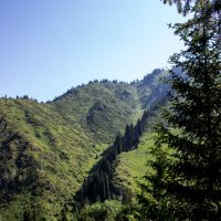 Зеленые горы :: Светлана SvetNika17