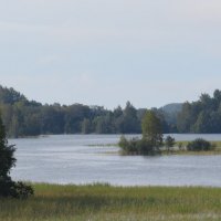 На Онежском озере :: Вера Щукина