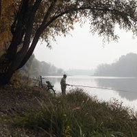 Рыбалка по утру. :: Наталья Остапенко