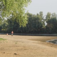 Прогулки по дну реки Десна :: Александр Скамо