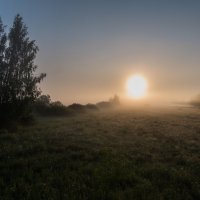 Утренний туман. :: Виктор Евстратов
