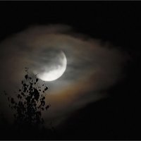 Лунное затмение 16 июля 2019 :: Михаил Дрейке