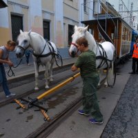 День транспорта :: Сергей Золотавин