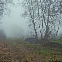 Весенний туман похож на обман :: Валерий Иванович