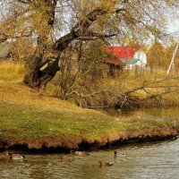 Деревенская зарисовка :: Вячеслав Маслов