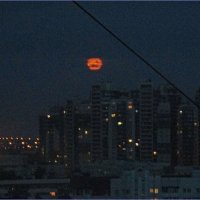 Красная луна :: Вера 