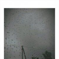 Капли дождя ☔ :: Света Кондрашова