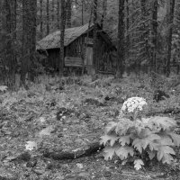 Домик Тронова в нижнем альплагере Актру :: Валерий Михмель 