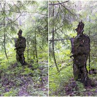 Встреча в лесу. :: Сергей Ключарёв
