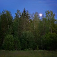 Восход луны :: Александр Смольников