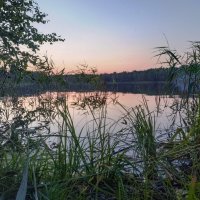 Весь мир на мобильный. Вечер на озере, Псковская обл. :: Владимир Филимонов