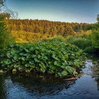 Прогулки по вечернему городу. Мобилография. :: Дмитрий Костоусов