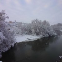 Река Ворона :: Юрий Кирьянов