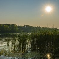 МОРДОВИНСКИЕ ПОЙМЫ.... :: Наталья Меркулова