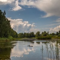 На озере :: Сергей Цветков