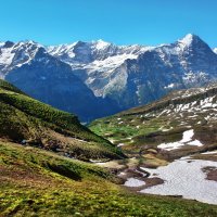 альпийское лето :: Elena Wymann