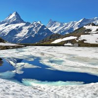 Grindelwald, Schweiz, Berner Oberland - First, Bachalpsee :: Elena Wymann