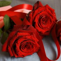 Розы алые... :: Зинаида Каширина